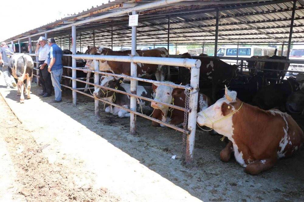 Eller, kurban pazarlığı için bir araya geldi