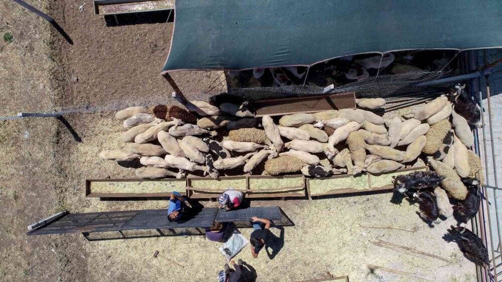 Meram Kurban Bayramı'na hazır