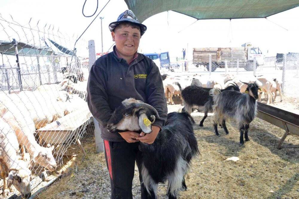 Meram Kurban Bayramı'na hazır