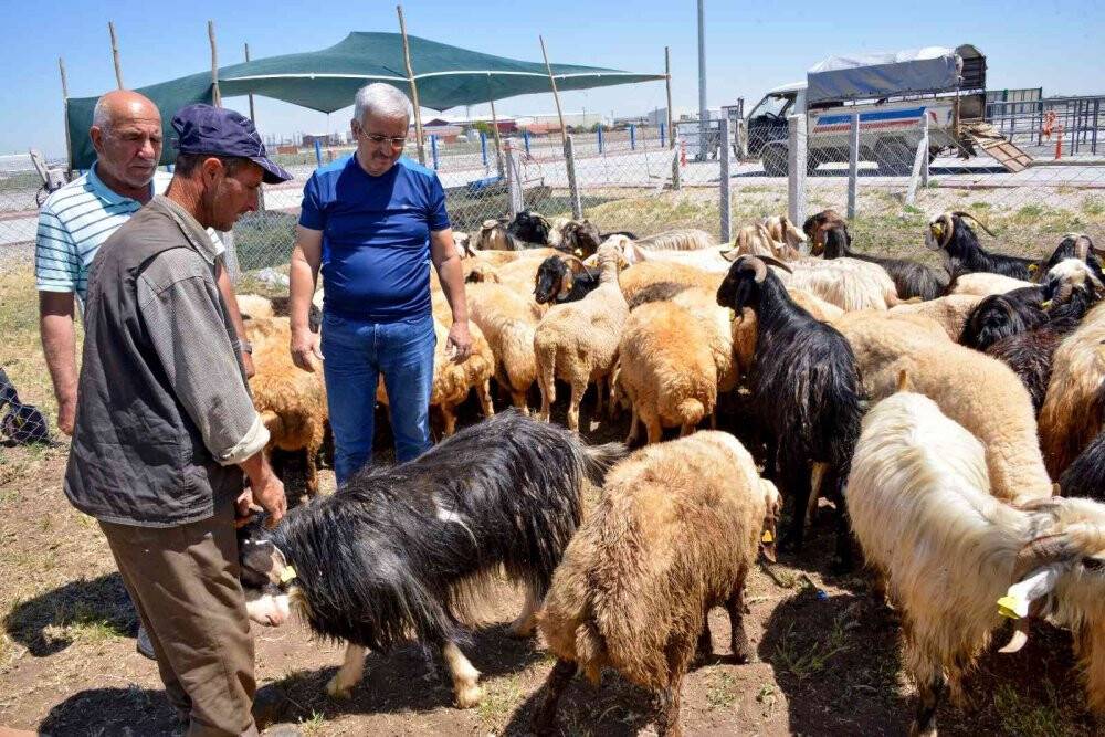 Meram Kurban Bayramı'na hazır
