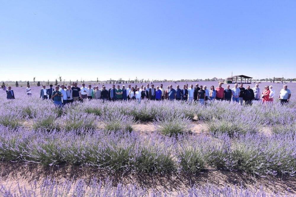 Türkiye’nin en büyük Lavanta Bahçesi Karatay’da