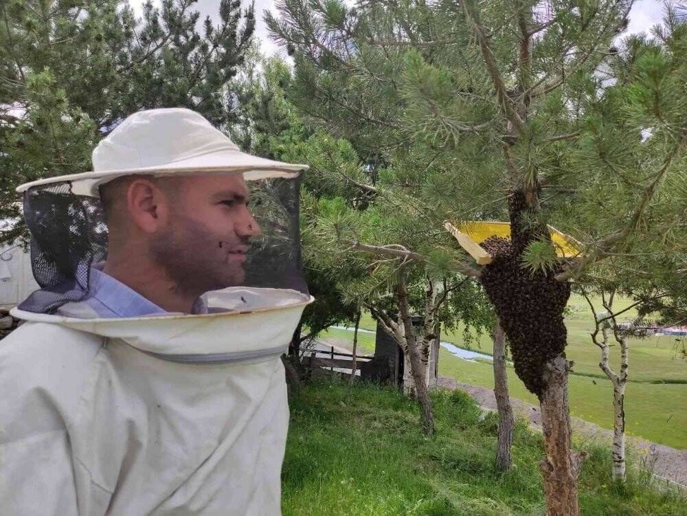 Arı kolonisi firarda