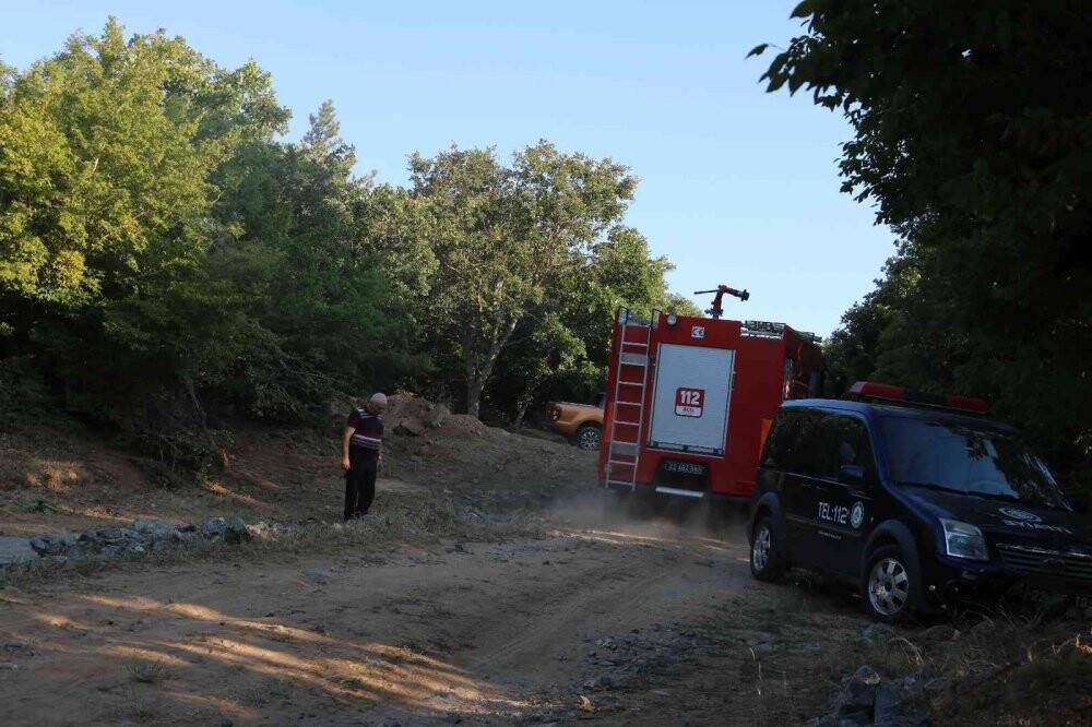 Edirne’de orman yangını kontrol altına alındı