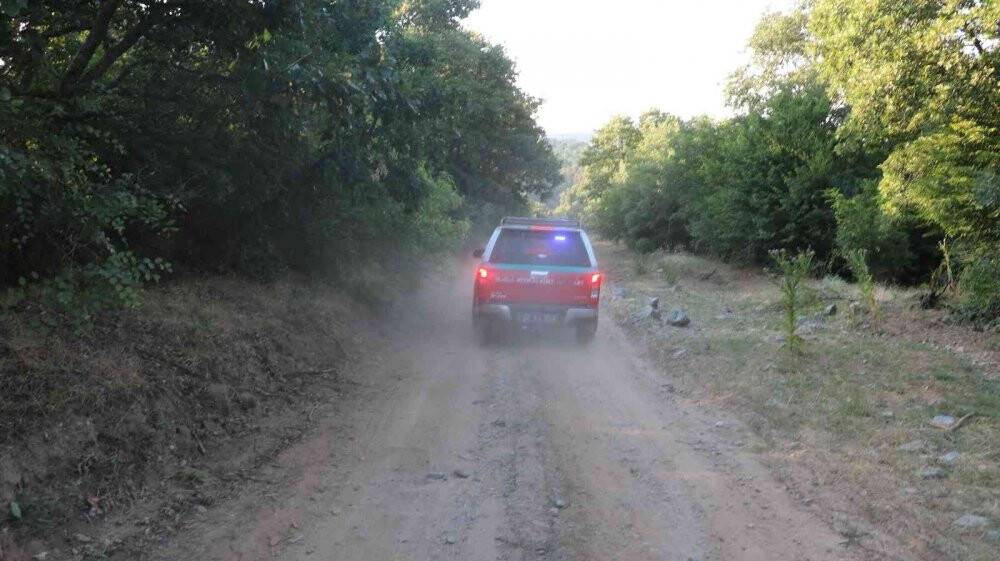 Edirne’de orman yangını kontrol altına alındı