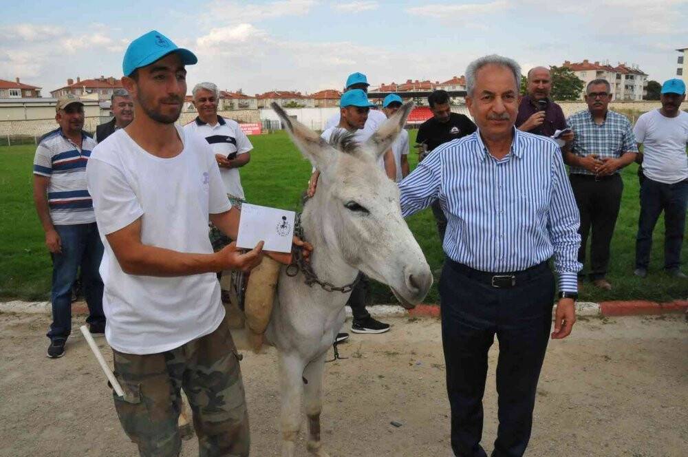 Eşekler birincilik için yarıştı