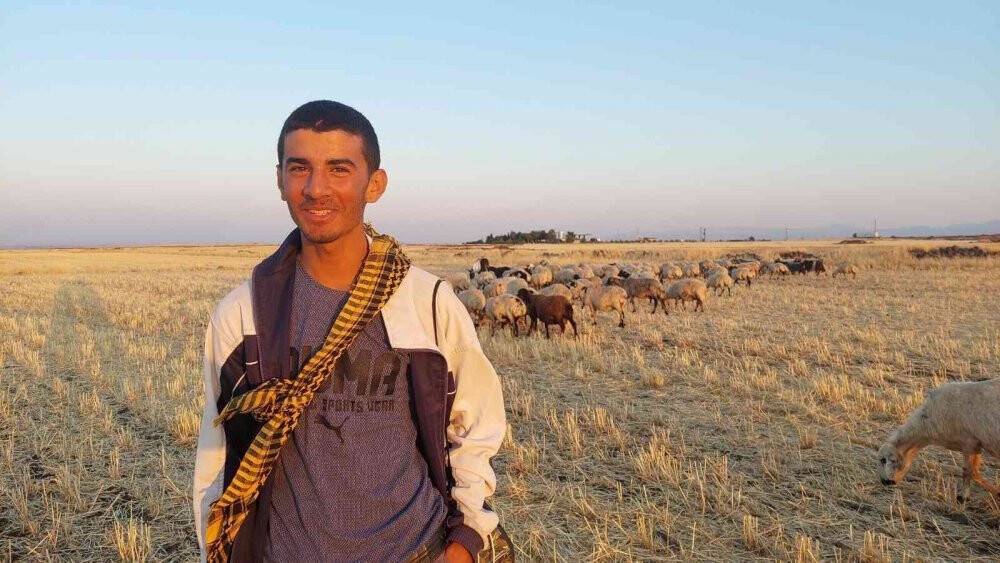 Bayramı da koyunlarla geçiriyorlar
