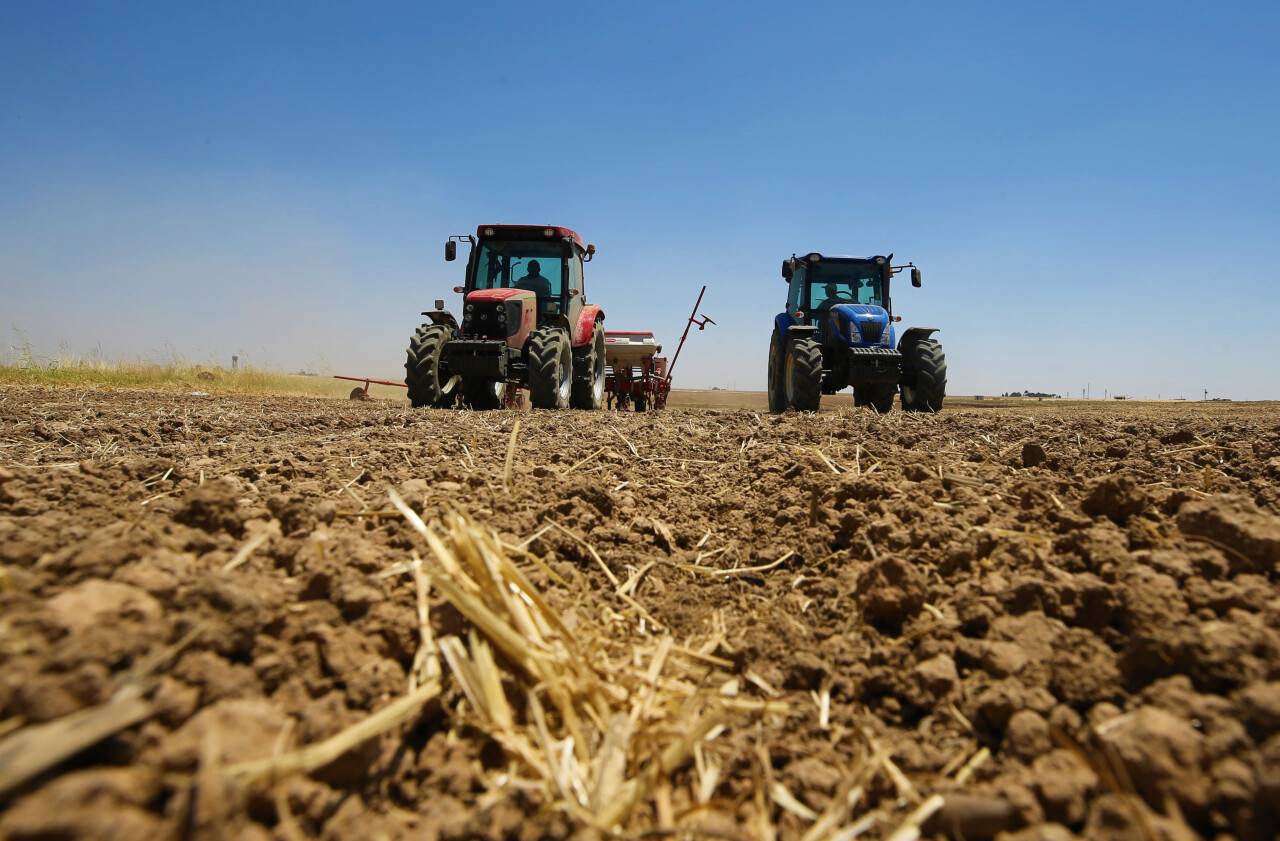 aa-20220711-28391902-28391875-bereketli-topraklarda-bugday-hasadi-bitmeden-misir-ekimi-basladi.jpg