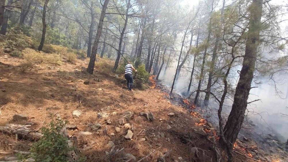 Datça’daki orman yangınına kolluk kuvvetleri de müdahale etti