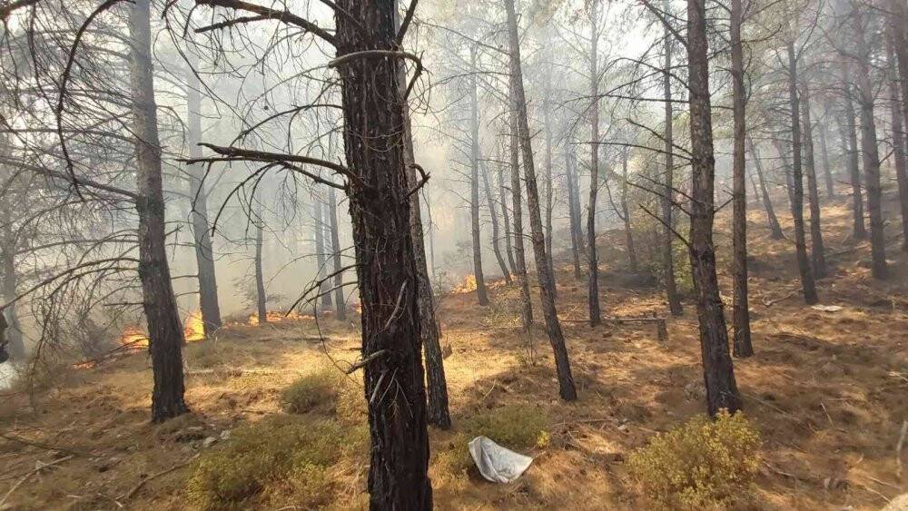 Datça’daki orman yangınına kolluk kuvvetleri de müdahale etti