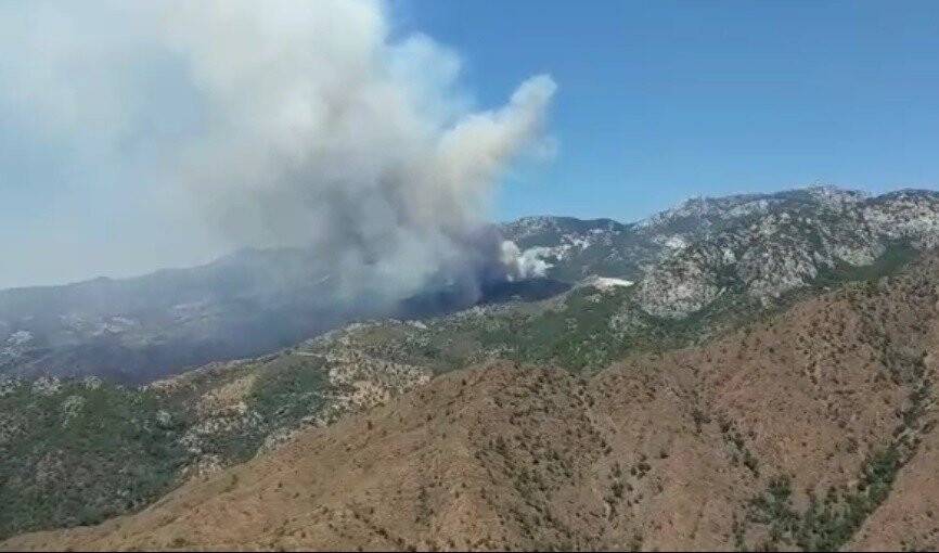 Datça’daki orman yangınına kolluk kuvvetleri de müdahale etti