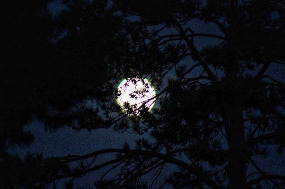 Van’da kartpostallık dolunay manzarası