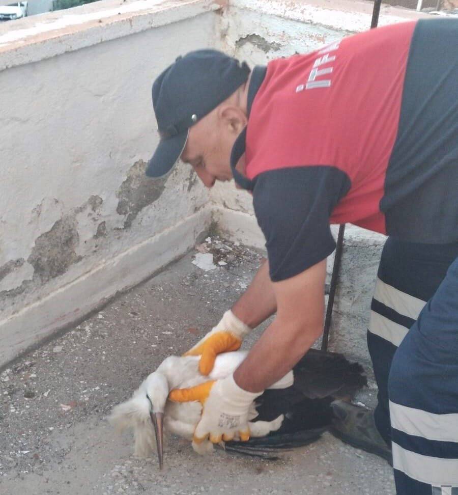 Yuvasından düştü, itfaiye kurtardı