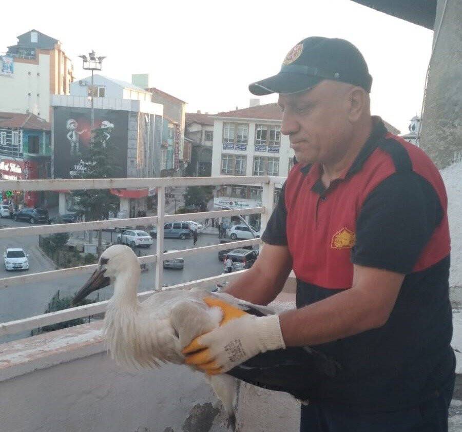 Yuvasından düştü, itfaiye kurtardı