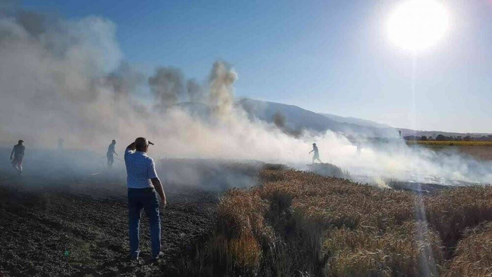 Buğday tarlası yangında küle döndü