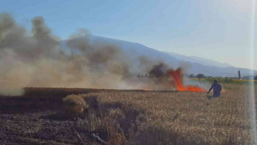 Buğday tarlası yangında küle döndü