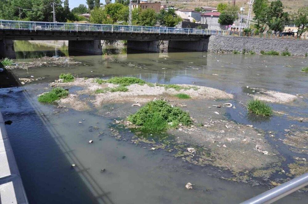 Kars Çayı zehir akıyor