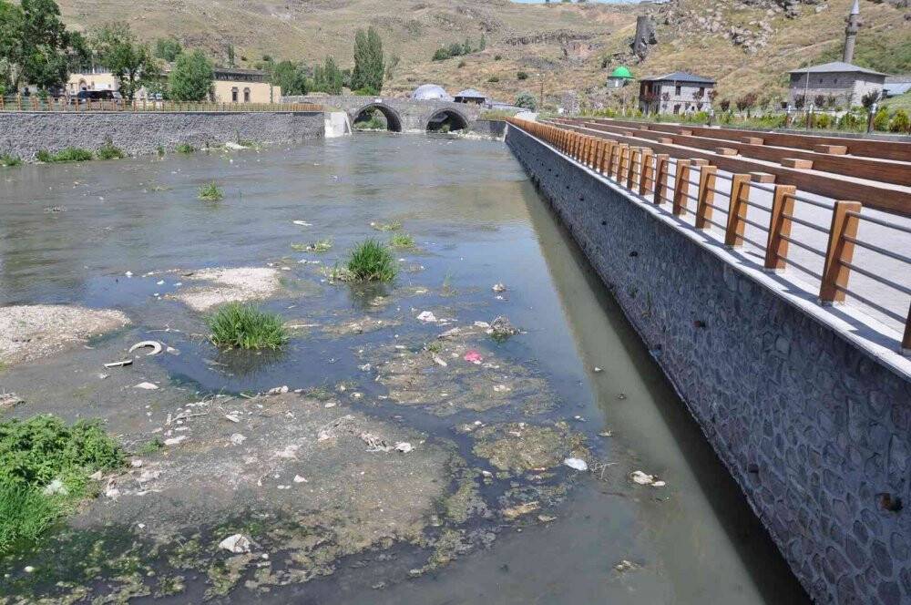Kars Çayı zehir akıyor