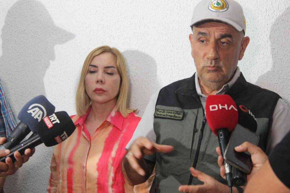 Tarım ve Orman Bakanı Vahit Kirişçi Datça yangını hakkında açıklama yaptı