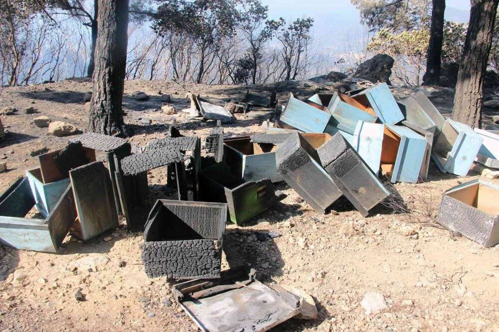 Odada her şey yandı, ‘Besmele’ yazısı yanmadı