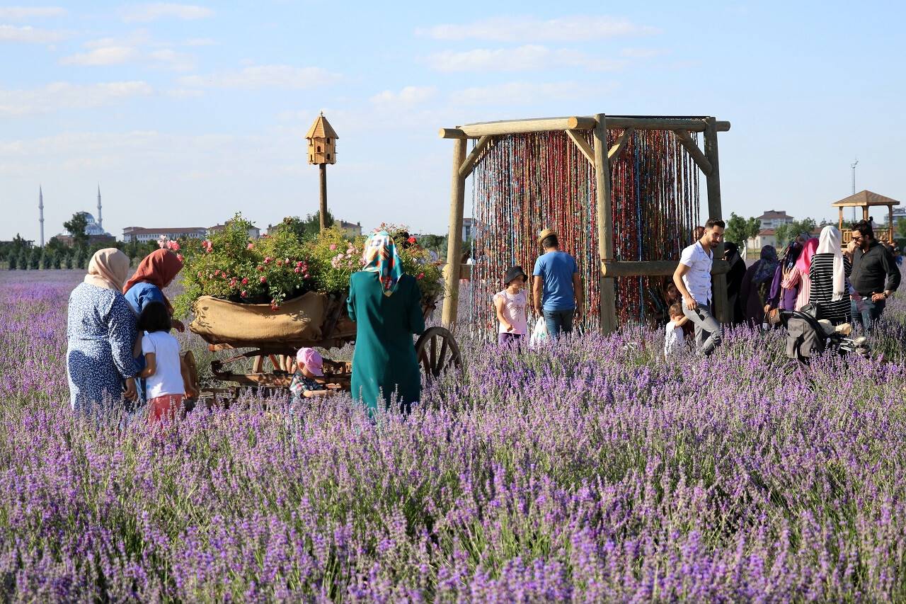 aa-20220716-28434953-28434951-konyada-karatay-belediyesinin-geleneksel-lavanta-gunleri-basladi.jpg