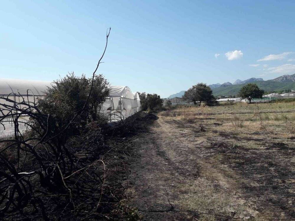 Antalya’da makilik alanda çıkan yangın seralara zarar verdi