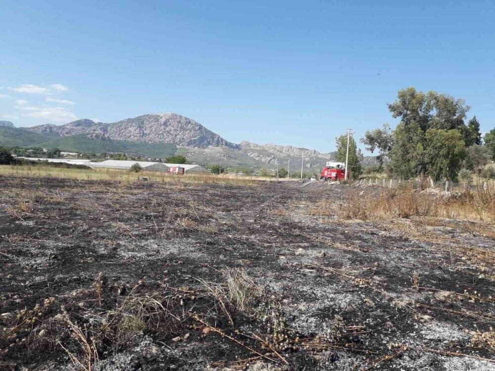 Antalya’da makilik alanda çıkan yangın seralara zarar verdi