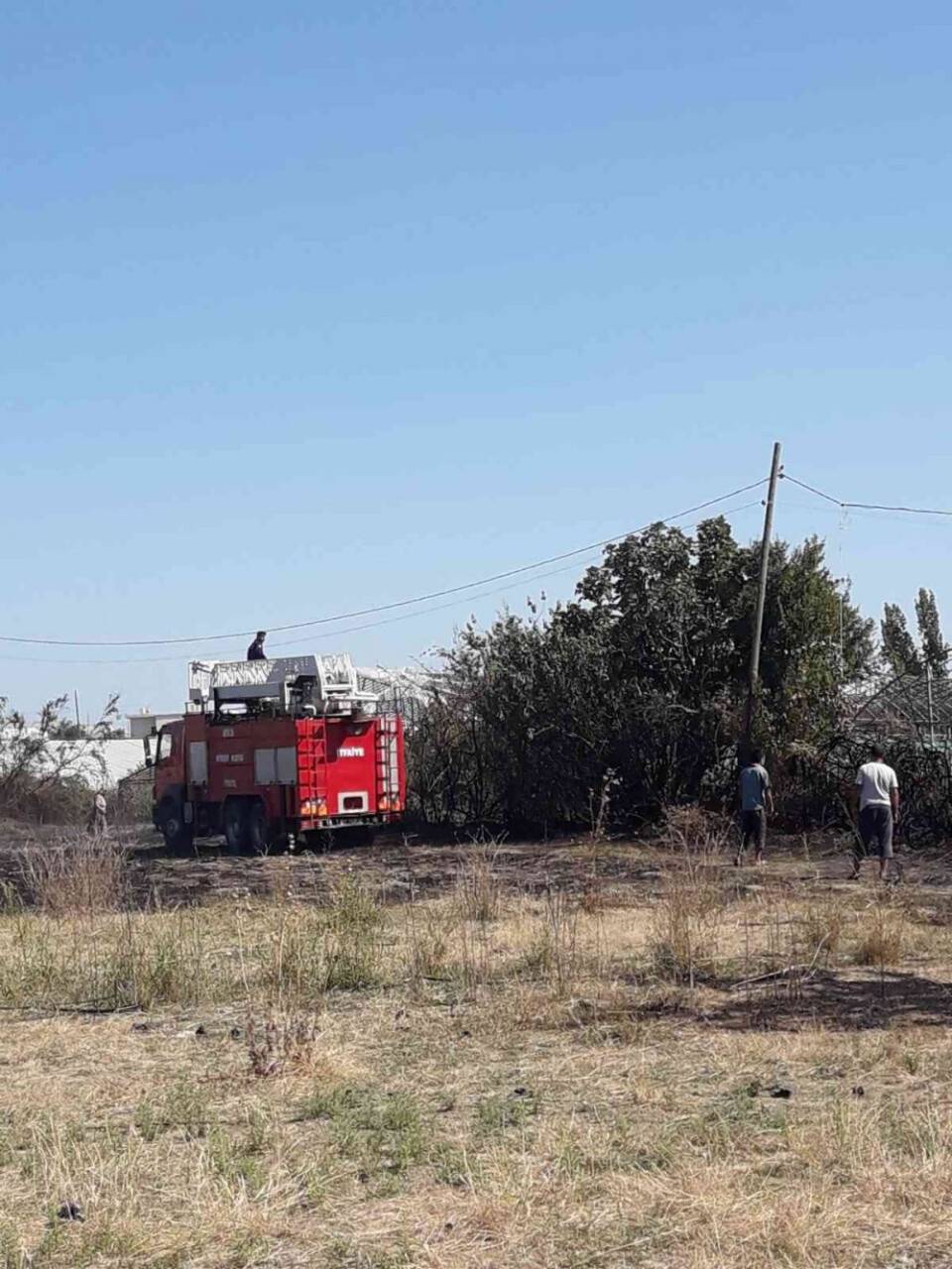 Antalya’da makilik alanda çıkan yangın seralara zarar verdi
