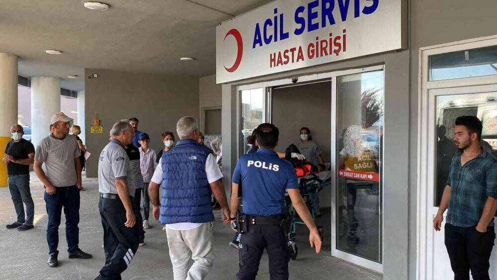 Erzincan’da trafik kazası: 1’i çocuk 5 yaralı