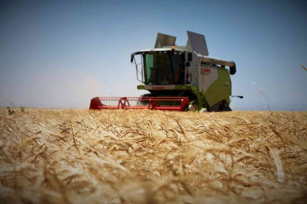 Konya Ovası'nda bu yıl hububat ürünlerinde verim ve kalite arttı