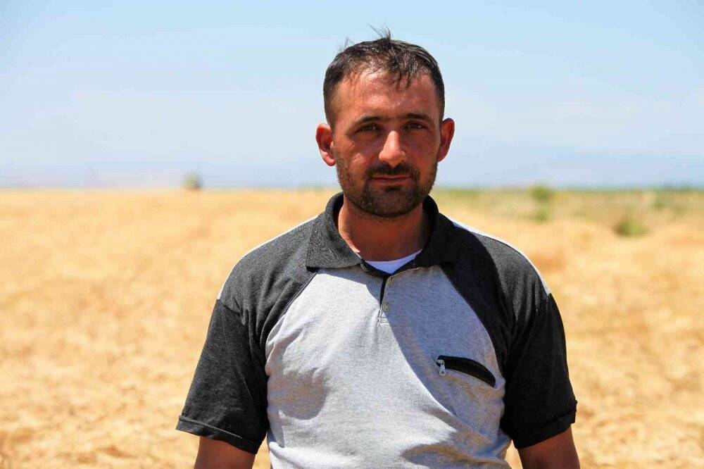 Konya Ovası'nda bu yıl hububat ürünlerinde verim ve kalite arttı