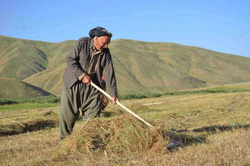 Şırnak’ta besicilerin kış mesaisi başladı