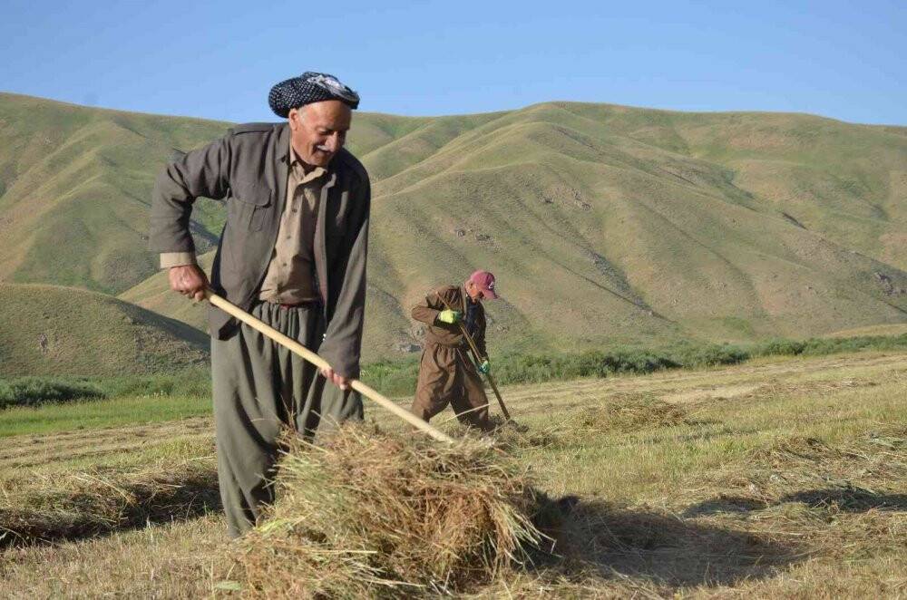 Şırnak’ta besicilerin kış mesaisi başladı