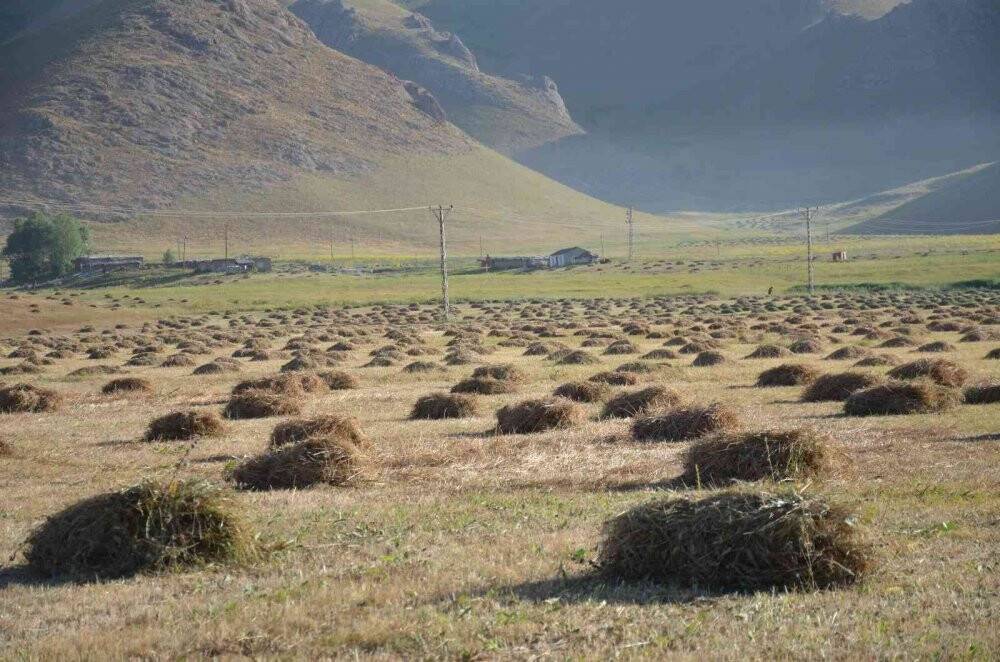 Şırnak’ta besicilerin kış mesaisi başladı