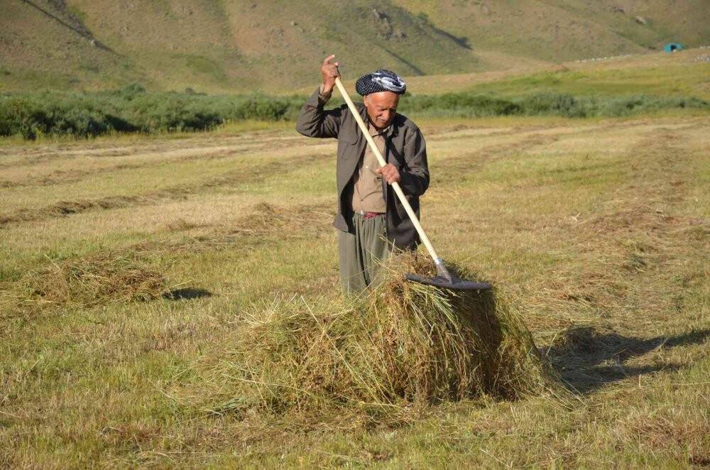 Şırnak’ta besicilerin kış mesaisi başladı