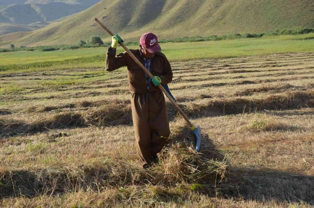 Şırnak’ta besicilerin kış mesaisi başladı