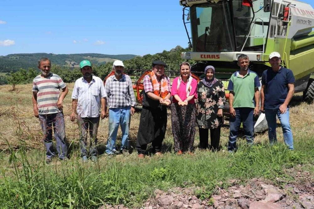 Çiftçiye dağıtılan buğdayların ilk hasadı bereketli geçti