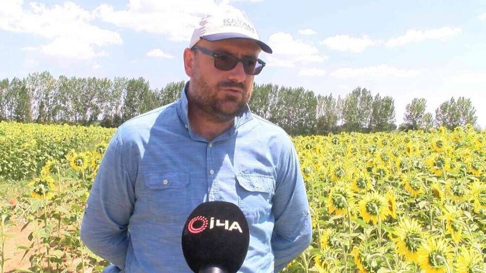 Trakya’da ‘çayır tırtılı’ alarmı