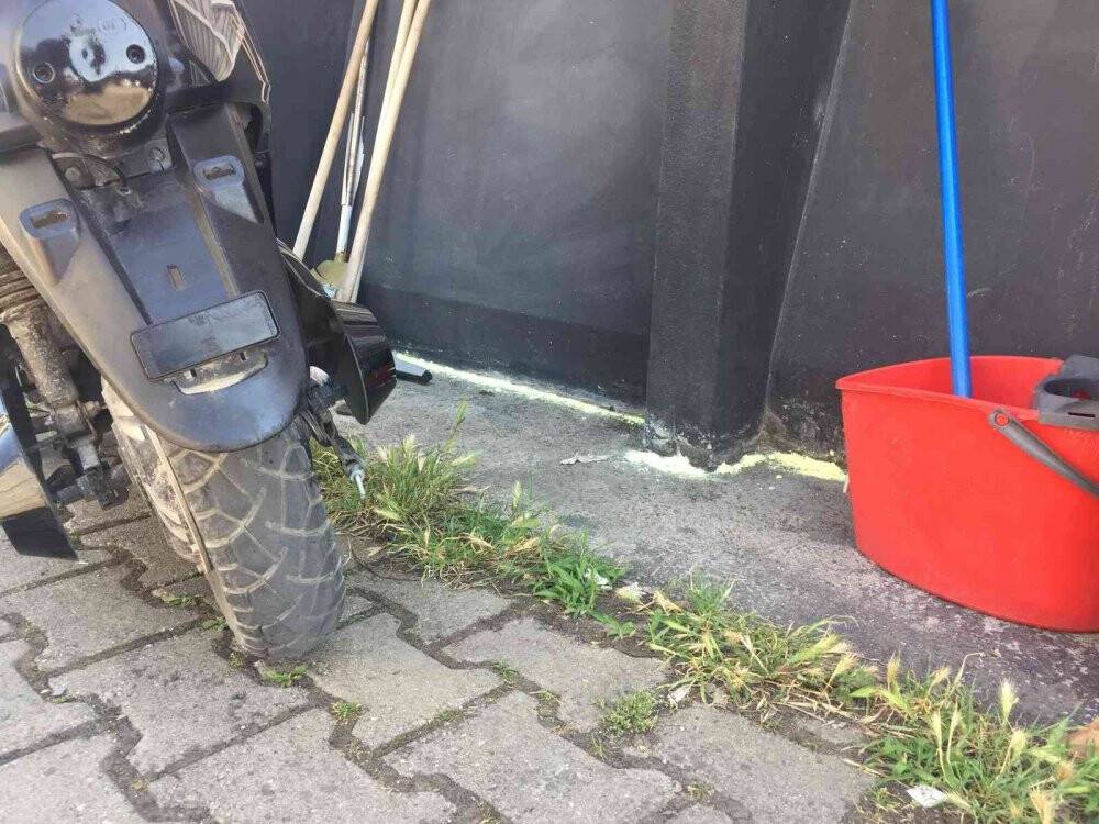 Yılan vakasına karşı kükürtlü önlem