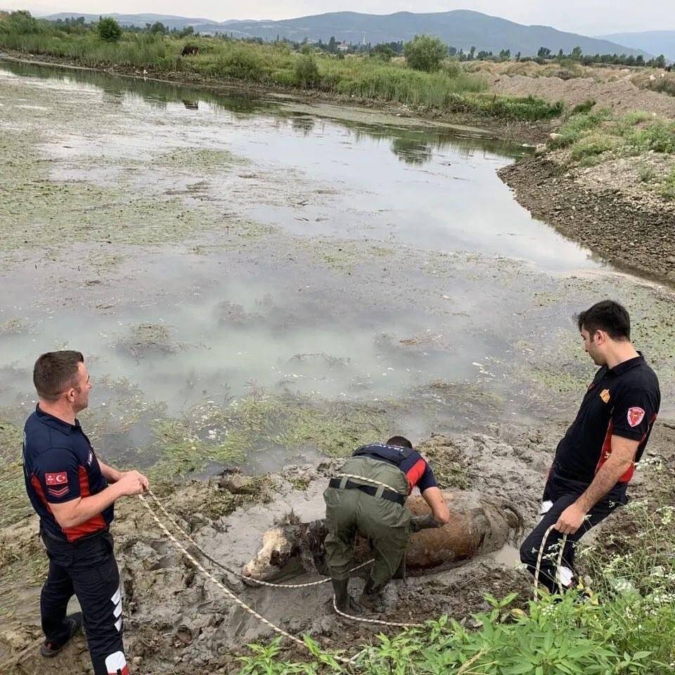 Balçığa saplanan inek itfaiyenin operasyonu ile kurtarıldı