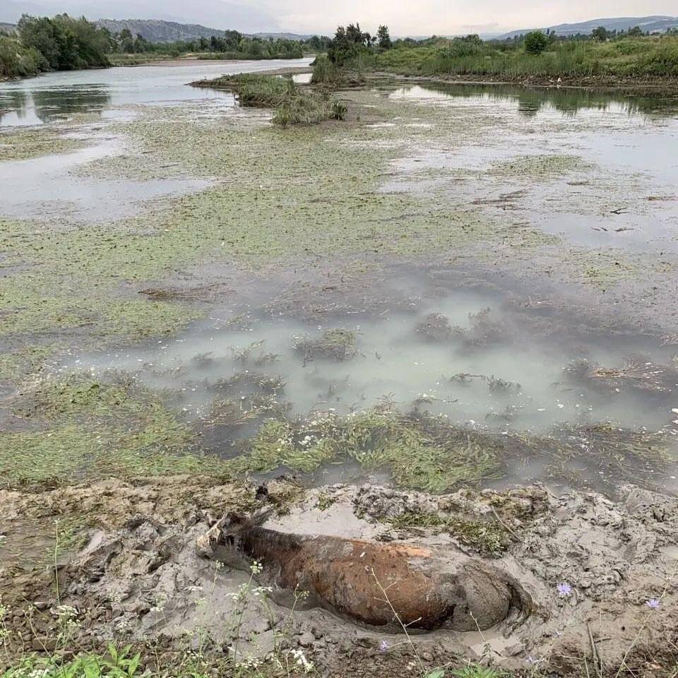Balçığa saplanan inek itfaiyenin operasyonu ile kurtarıldı