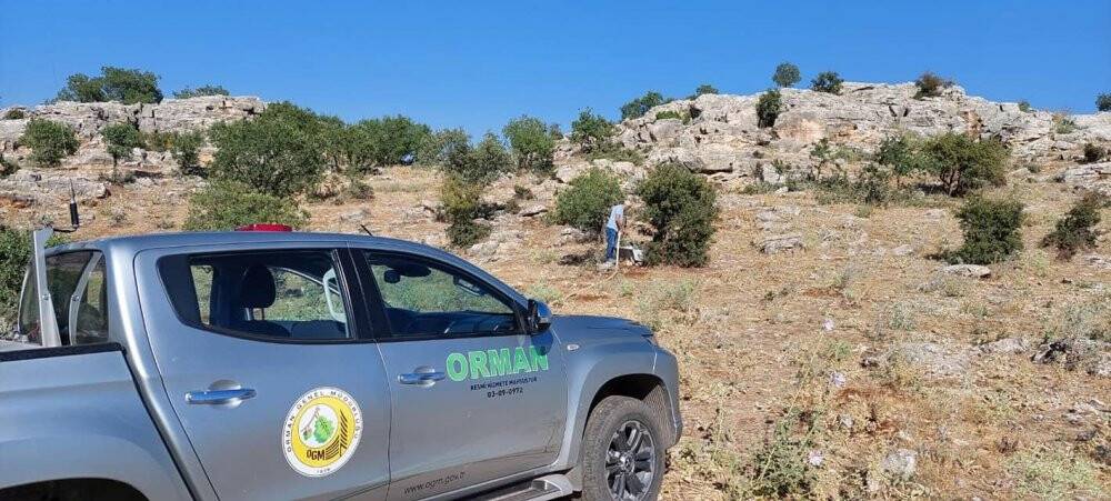 Yaban hayvanları için doğaya su bırakıldı