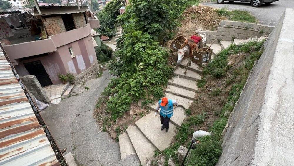 Tarihi ilçede çöpler atlarla toplanıyor