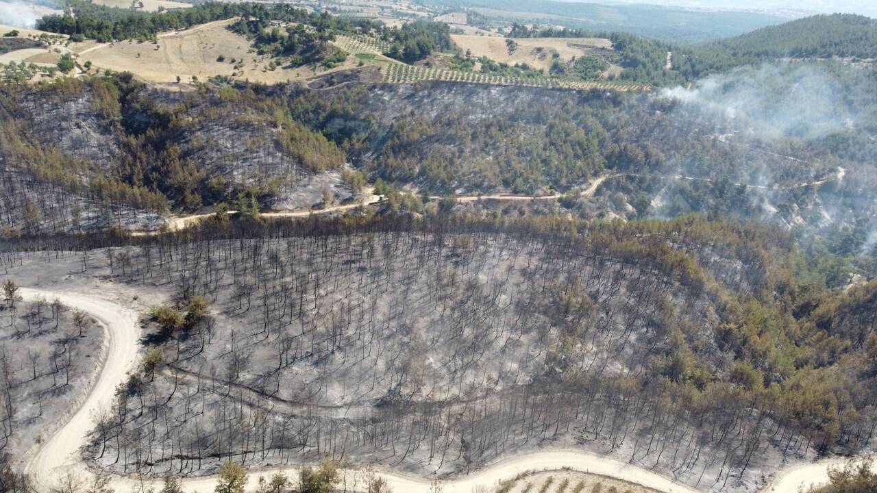aa-20220720-28459196-28459189-manisadaki-orman-yangini-kontrol-altina-alindi.jpg