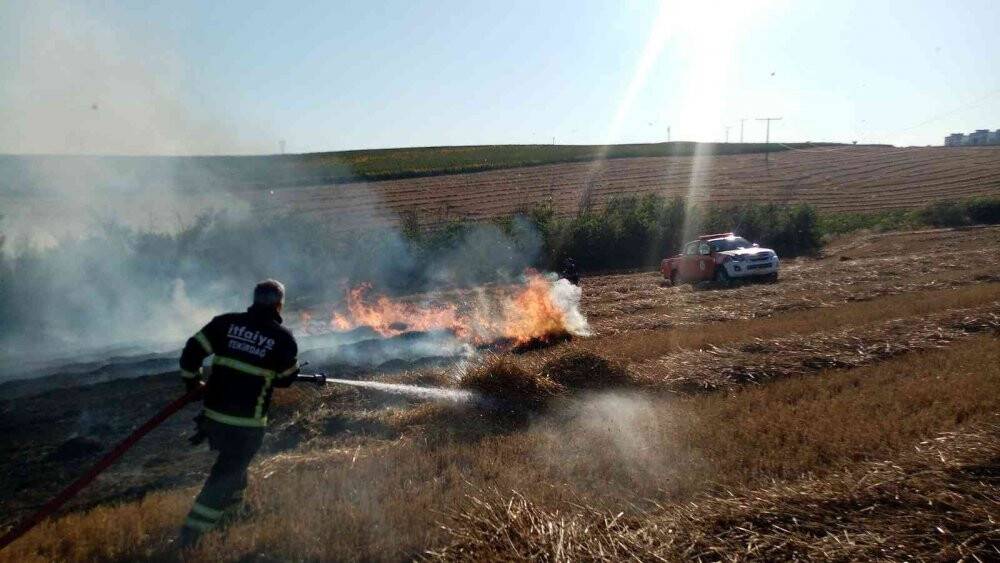Elektrik tellerinden sıçrayan kıvılcım 100 dönüm anızı küle çevirdi