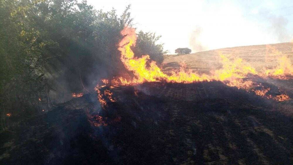 Elektrik tellerinden sıçrayan kıvılcım 100 dönüm anızı küle çevirdi