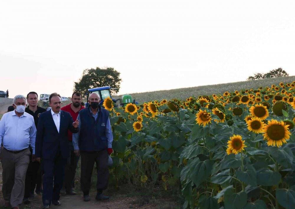 Türkiye’de ilk kez çayır tırtılıyla mücadelede kullanıldı