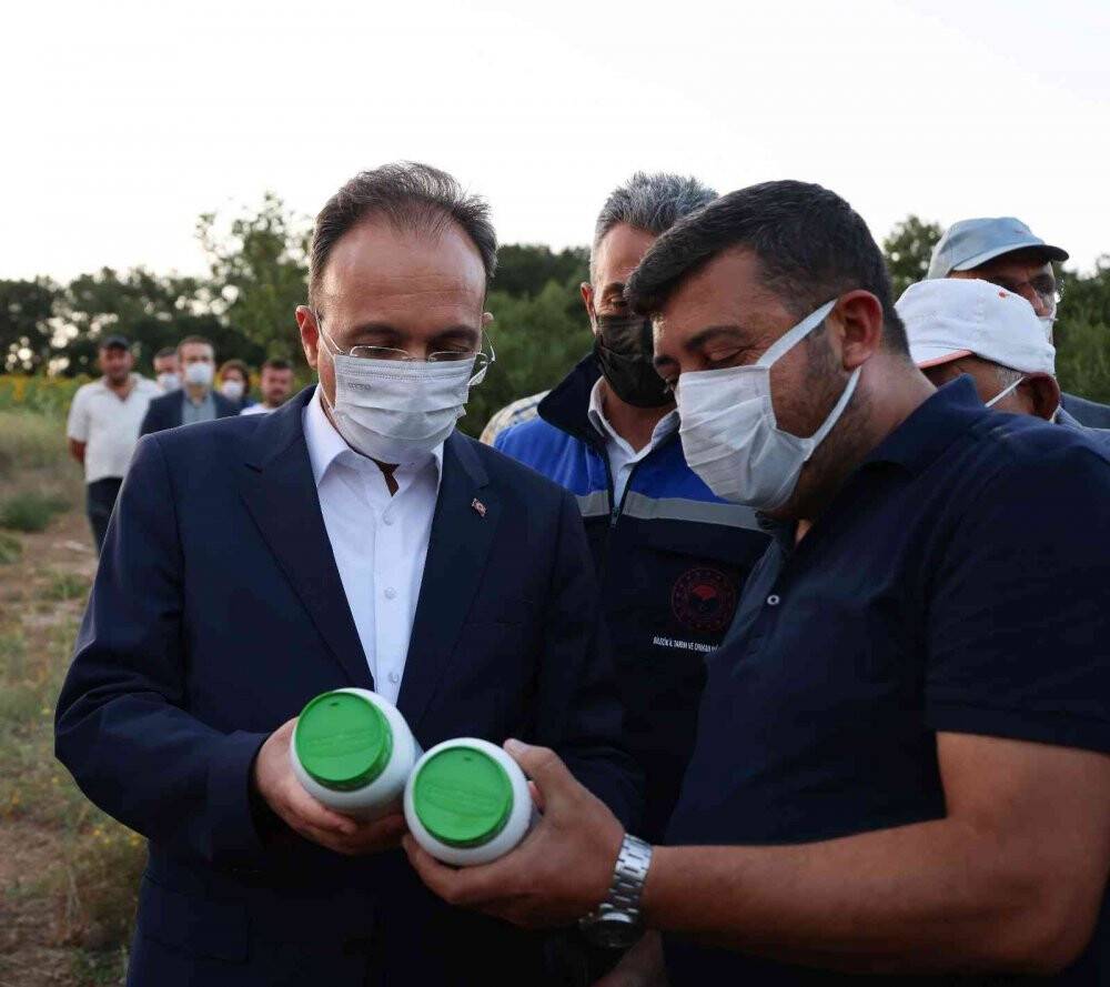 Türkiye’de ilk kez çayır tırtılıyla mücadelede kullanıldı