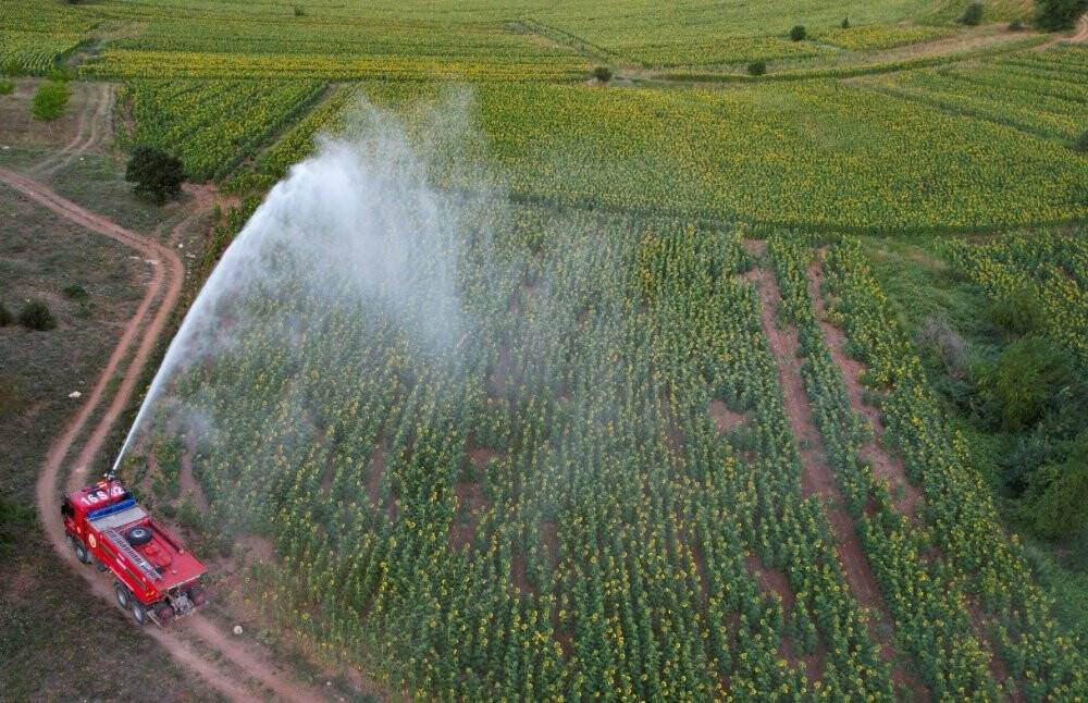 Türkiye’de ilk kez çayır tırtılıyla mücadelede kullanıldı