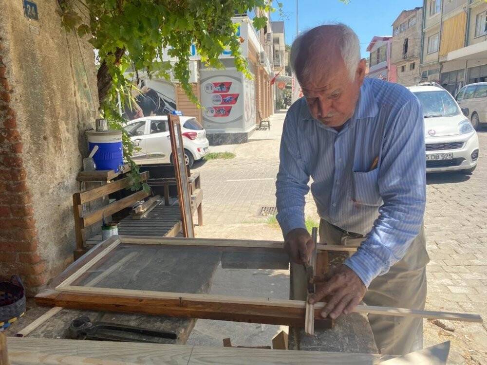 Artan sinek popülasyonuna sadece onlar seviniyor