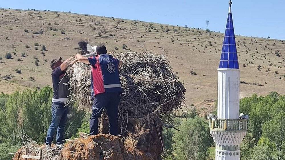 Ayağına ip dolanan yavru leylek yuvasından alınıp kurtarıldı